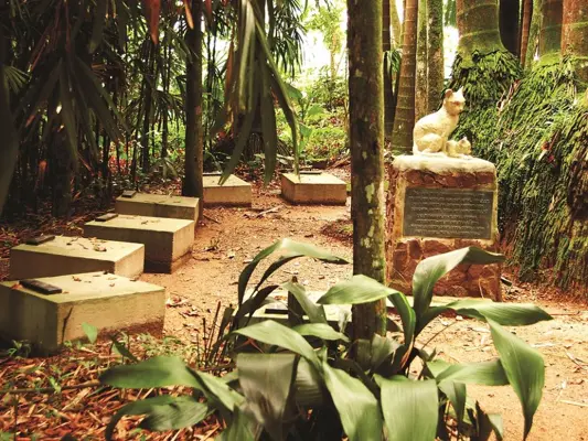 Cemitério dos Gatos